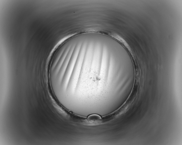 X0000086240795200704121932