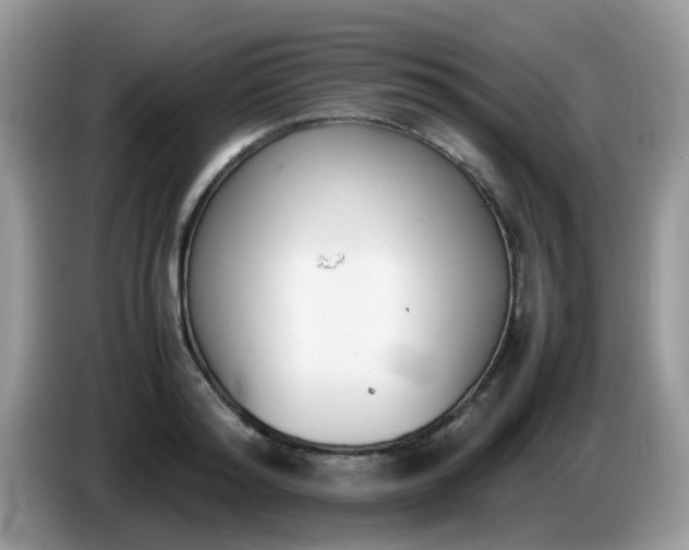 X0000086240796200704121932