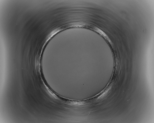 X0000086240802200704121932