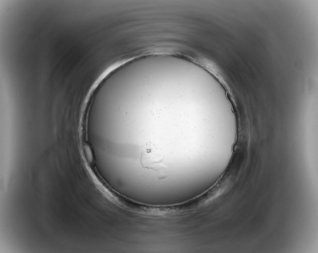 X0000086240803200704121932