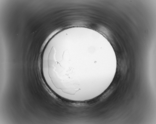 X0000086240804200704121932