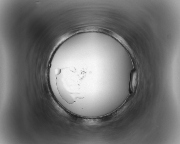 X0000086240805200704121932