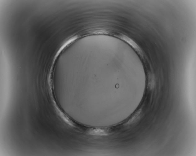 X0000086240806200704121932