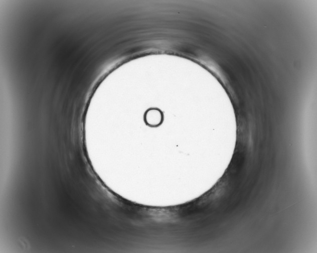 X0000086240807200704121932
