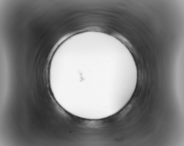 X0000086240808200704121932