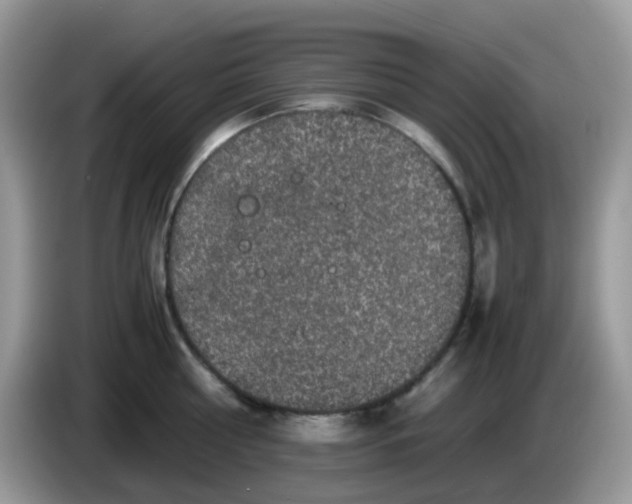 X0000086240810200704121932