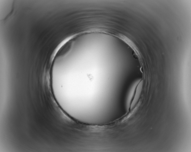 X0000086240812200704121932