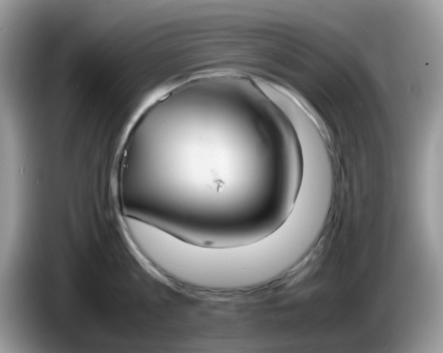 X0000086240813200704121932