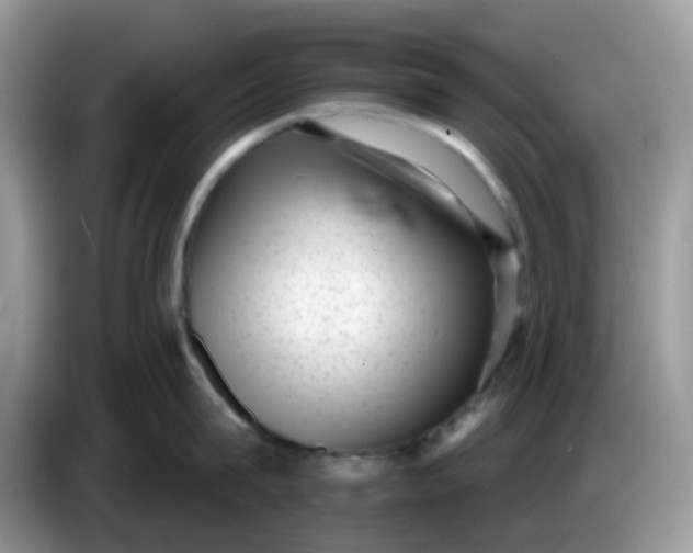 X0000086240815200704121932