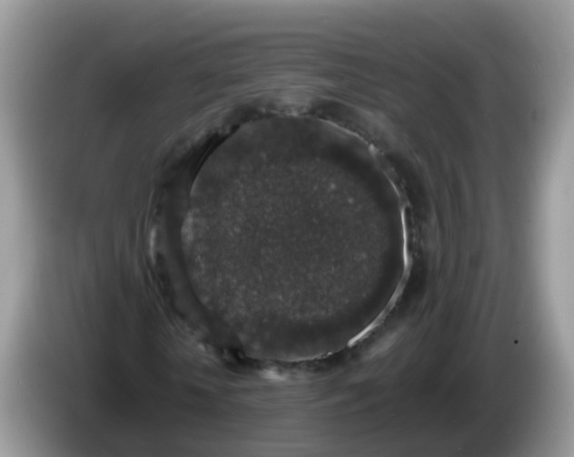X0000086240818200704121932