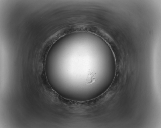 X0000086240821200704121932