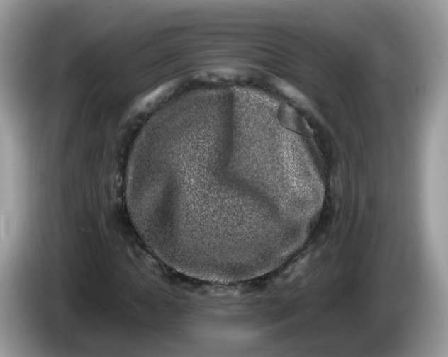 X0000086240822200704121932
