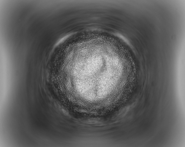 X0000086240823200704121932