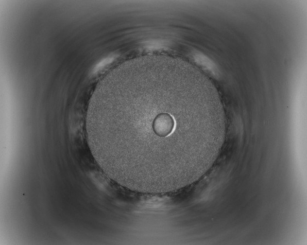 X0000086240824200704121932