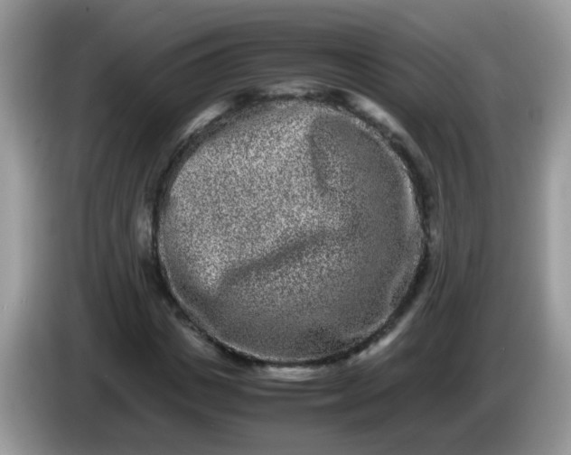 X0000086240825200704121932
