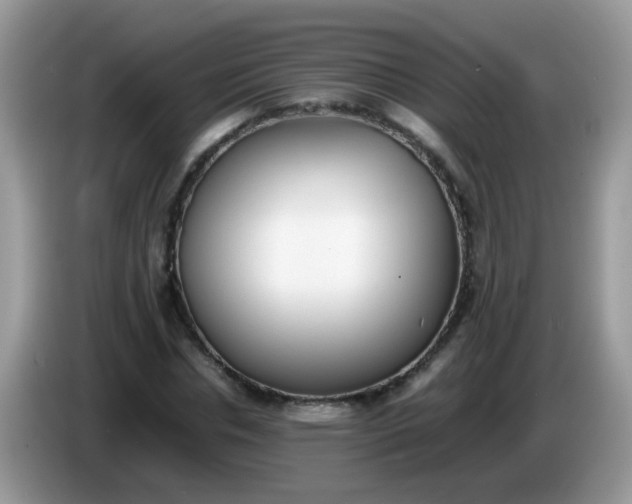 X0000086240826200704121932