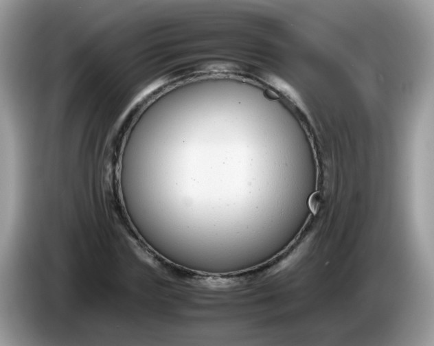 X0000086240827200704121932