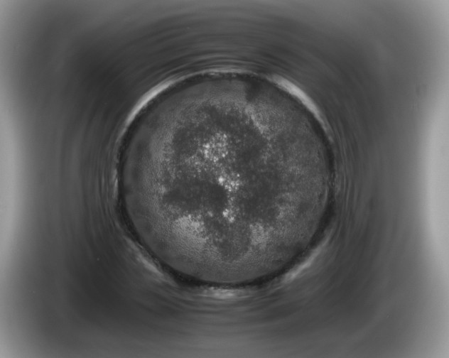X0000086240829200704121932