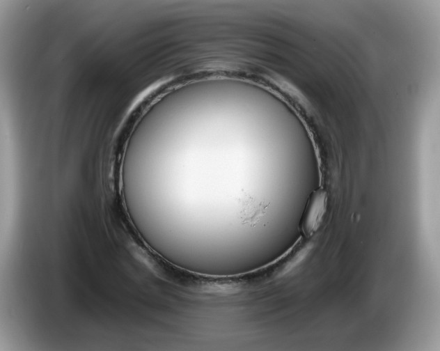 X0000086240830200704121932