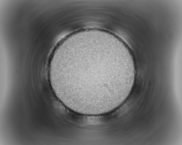X0000086240832200704121932