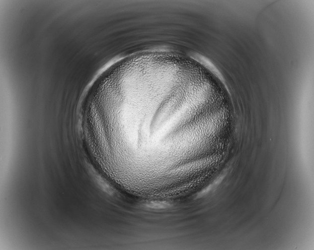 X0000086240835200704121932