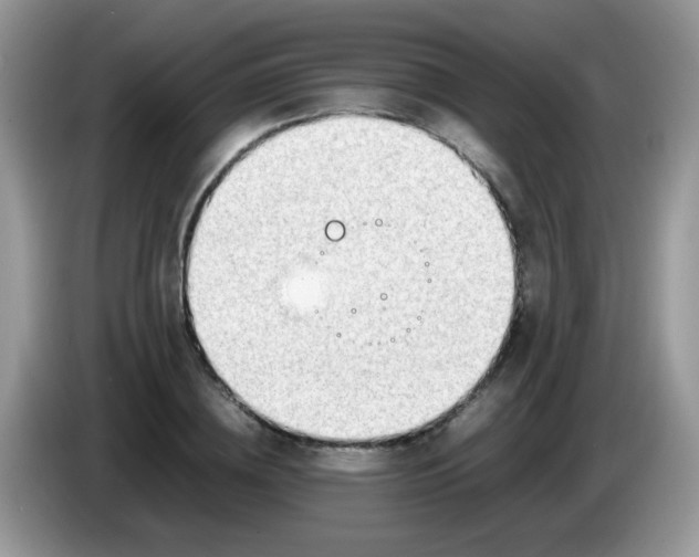 X0000086240836200704121932