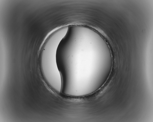 X0000086240838200704121932