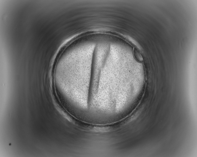 X0000086240840200704121932