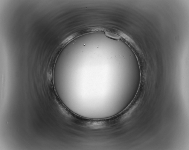 X0000086240841200704121932