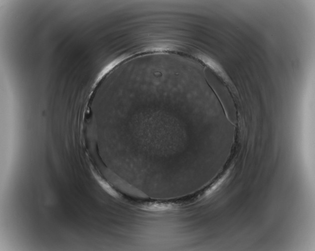 X0000086240842200704121932