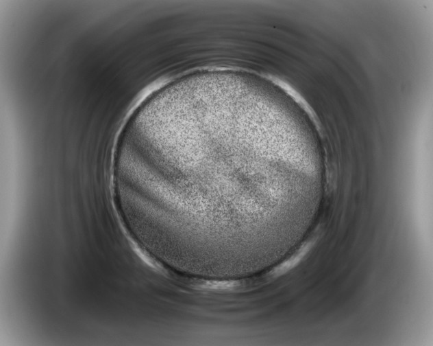 X0000086240845200704121932