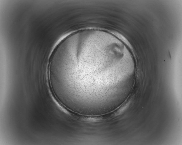 X0000086240847200704121932