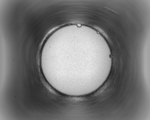 X0000086240848200704121932