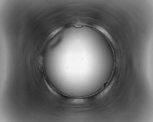 X0000086240849200704121932