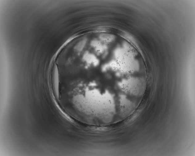 X0000086240851200704121932