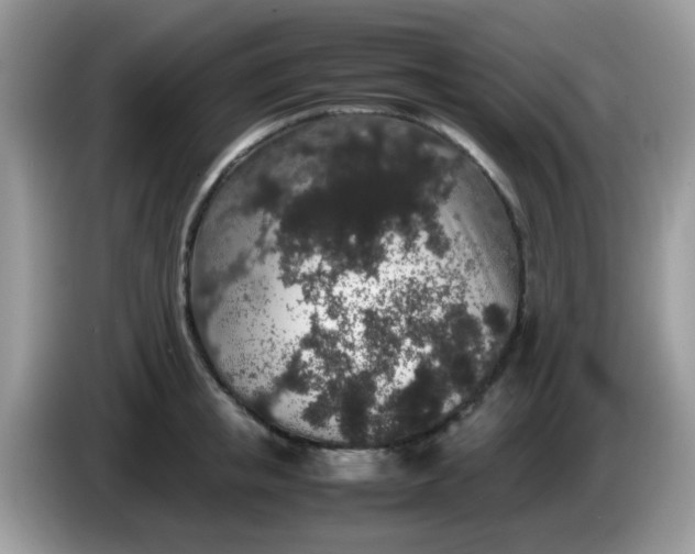 X0000086240853200704121932