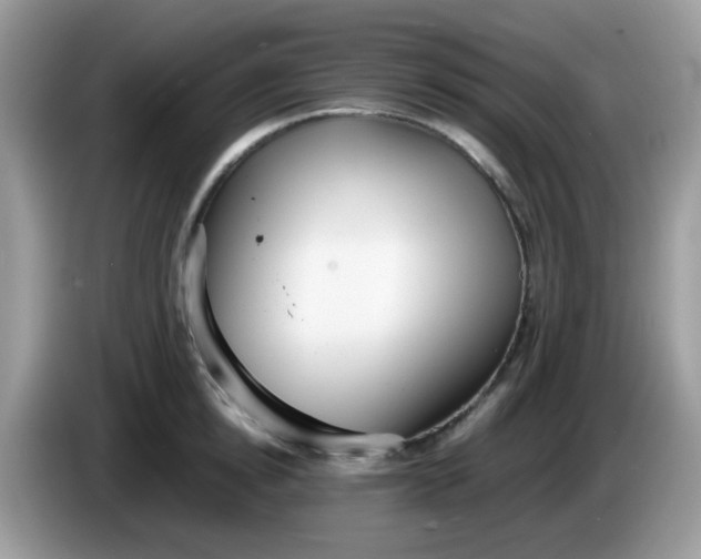 X0000086240854200704121932