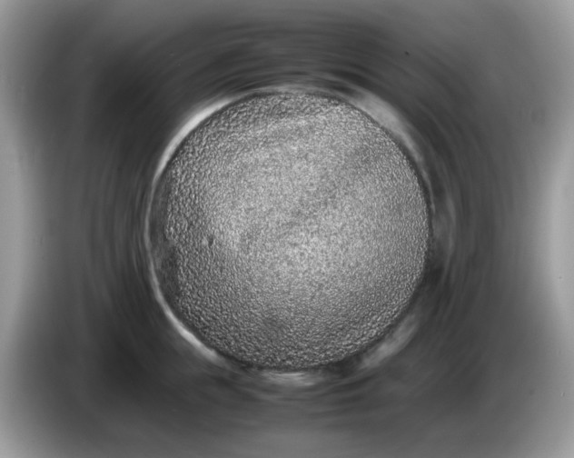 X0000086240855200704121932
