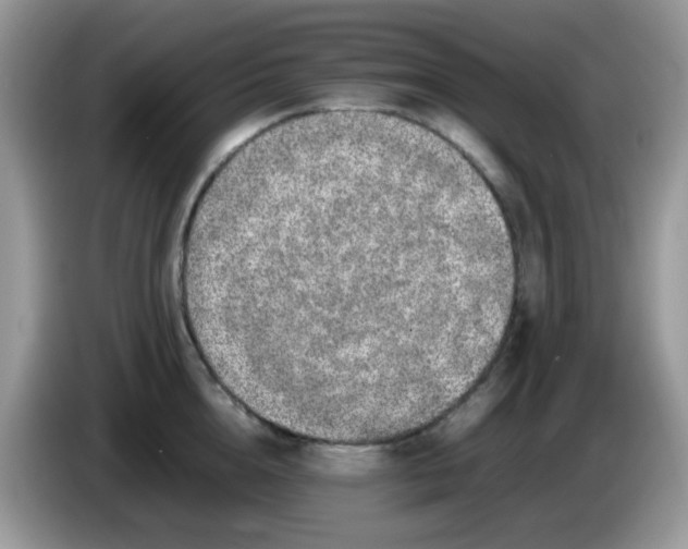 X0000086240856200704121932