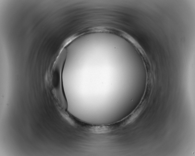 X0000086240858200704121932