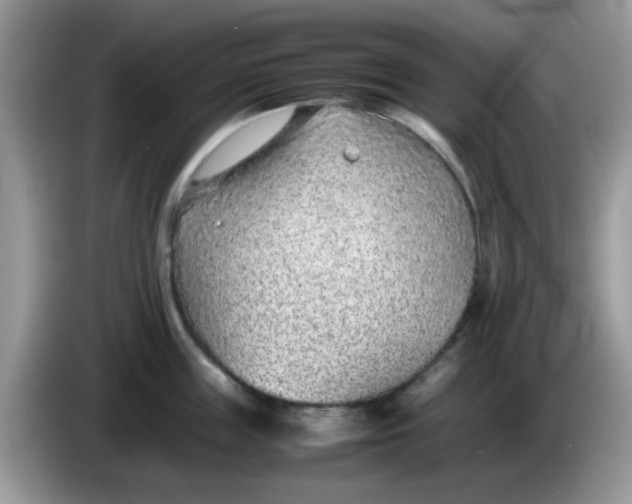 X0000086240859200704121932