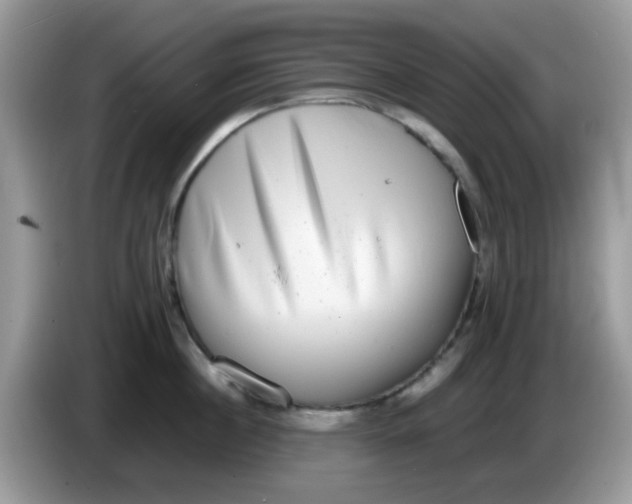X0000086240860200704121932