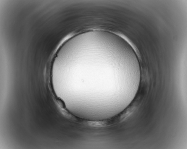 X0000086240861200704121932