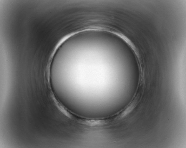 X0000086240862200704121932