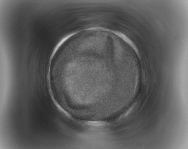 X0000086240863200704121932