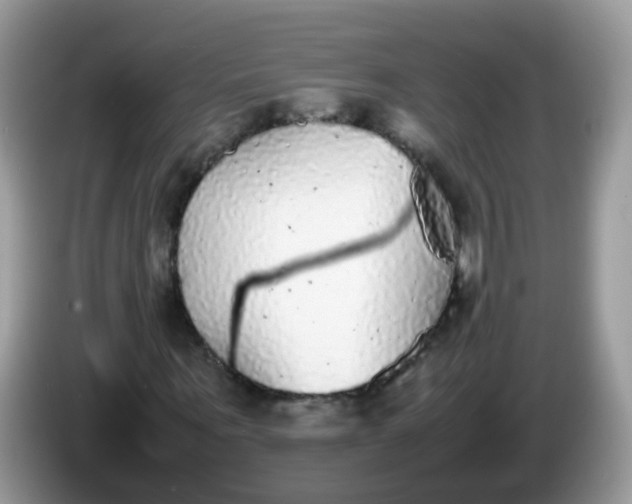 X0000086240867200704121932