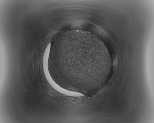 X0000086240868200704121932