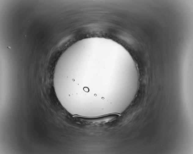 X0000086240869200704121932