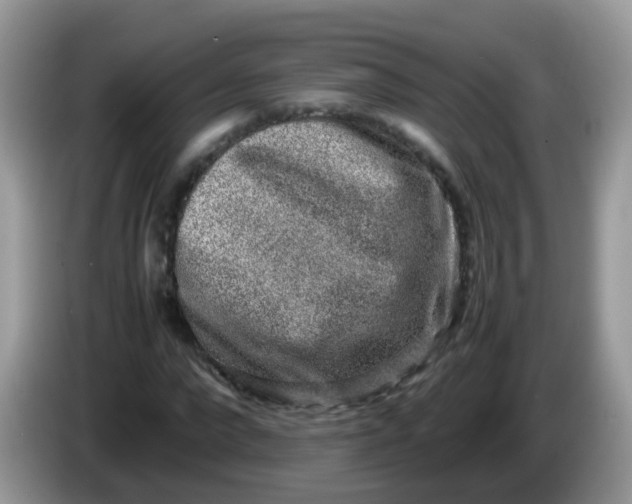 X0000086240872200704121932
