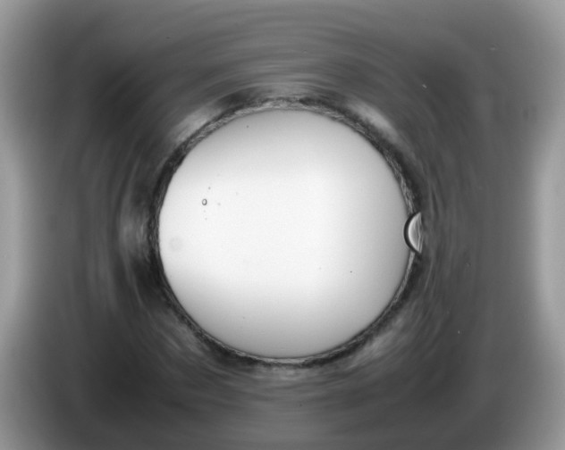 X0000086240873200704121932